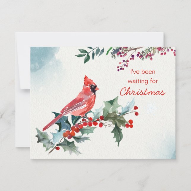 Navidades holly, cardenal rojo, tarjeta de vacacio (Anverso)