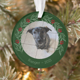 Navidades Holly Elegant Mascota Foto Ornamento