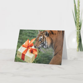 Navidades In-Sync y tarjeta de vacaciones