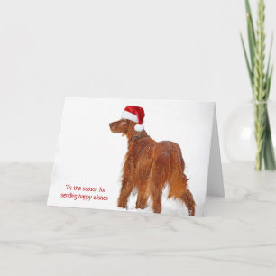 Navidades Irlandeses Sentados En Tarjeta De Nieve
