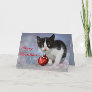 navidades kitten tarjeta de saludo