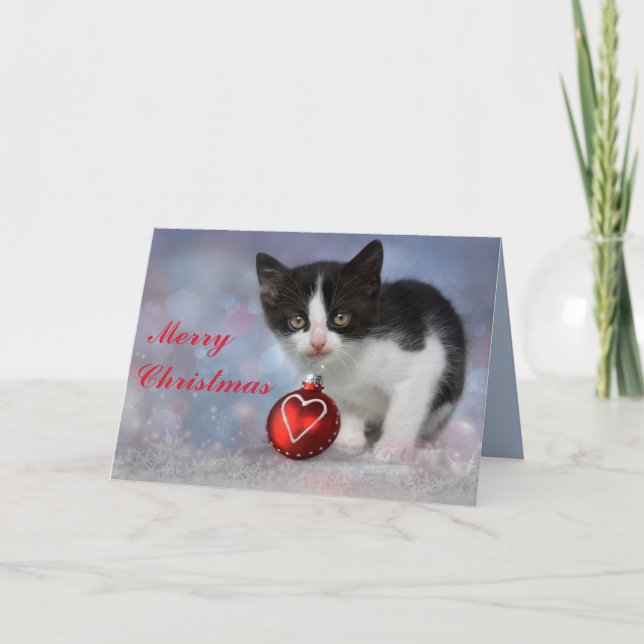 navidades kitten tarjeta de saludo (Anverso)