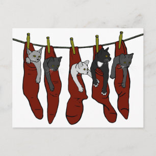Navidades Kittens   Postal Chatons de Nöel