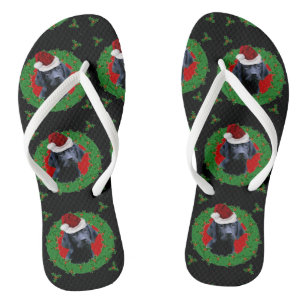 Navidades Labrador Recuperar chanclas