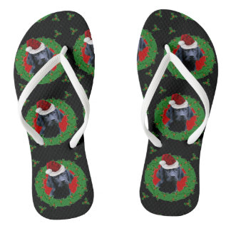 Navidades Labrador Recuperar chanclas