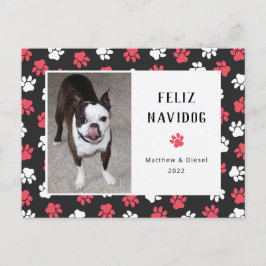 Navidades mascotas Tarjeta Foto Graciosa
