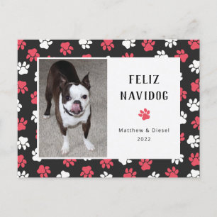 Navidades mascotas Tarjeta Foto Graciosa