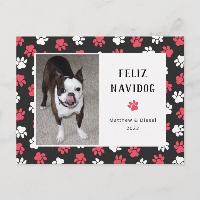 Navidades mascotas Tarjeta Foto Graciosa (Anverso)
