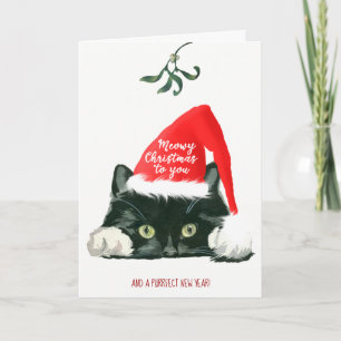 navidades miedosos tarjeta de Navidad lindo gato