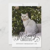 Navidades modernos de Meowy Foto Tarjeta de vacaci