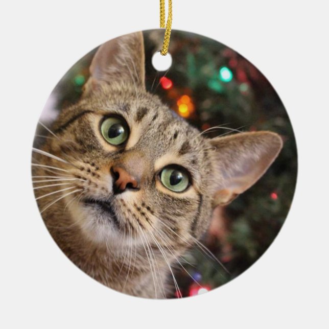 Navidades Ornamento de Tabby (Frente)