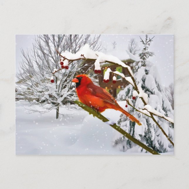 Navidades, pájaro cardinal, nieve, postal (Anverso)