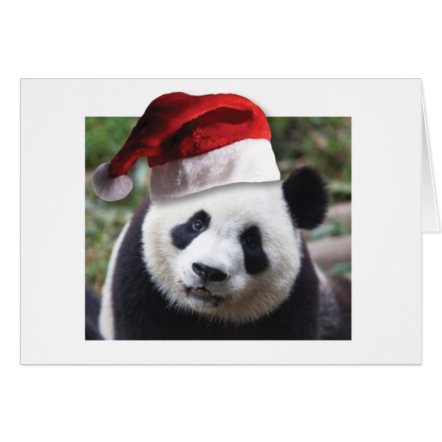Navidades Panda Bear (Anverso (Horizontal))