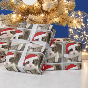 Navidades Papel para envolver a Kitty