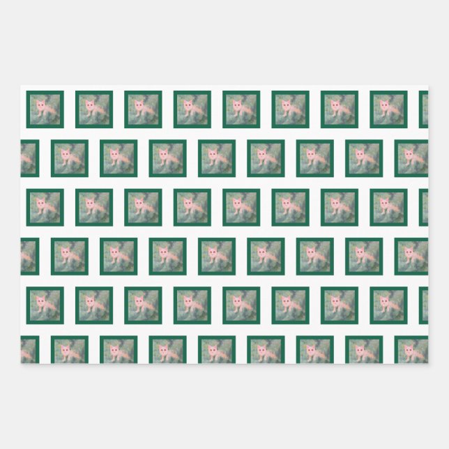 Navidades Papel para envolver a Kitty (Anverso)