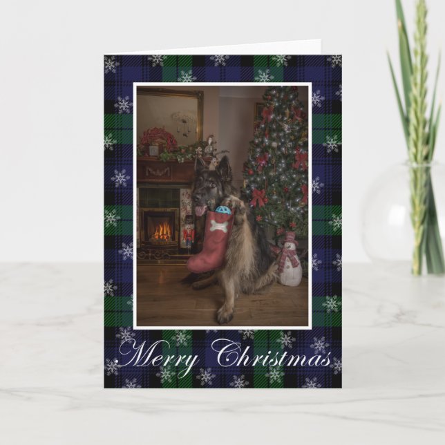 navidades pastores alemanes con tarjeta de vacacio (Anverso)