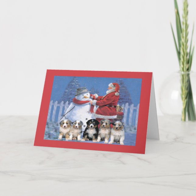 Navidades pastores australianos con tarjeta de Pap (Anverso)
