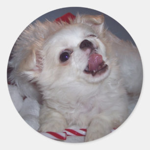 Navidades Pegatinas de Cachorros