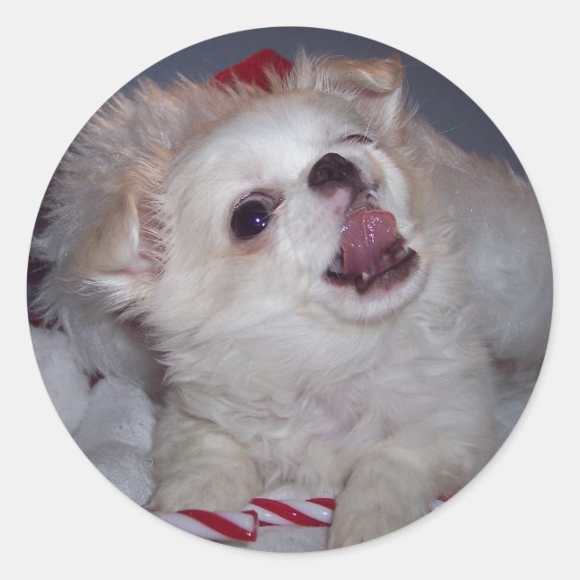 Navidades Pegatinas de Cachorros (Anverso)