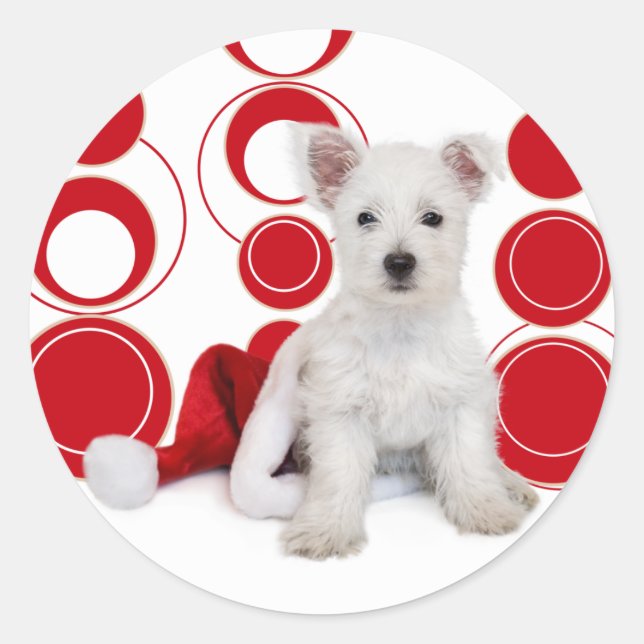 Navidades Pegatinas de Westie Circles (Anverso)