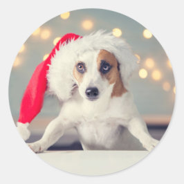 NAVIDADES PERRO CON Pegatina Santa hat