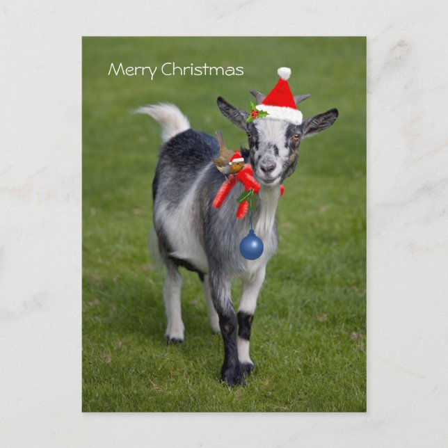 Navidades postales (Anverso)