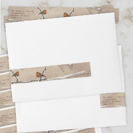 Navidades Robin Bird Wrap Alrededor de la etiqueta