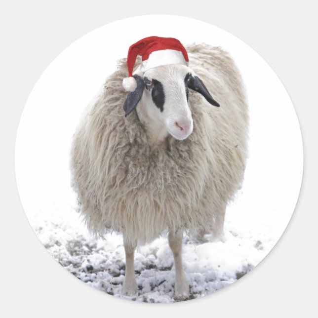NAVIDADES SHEEP SELLO PARA SOBRES ROUND PEGATINA (Anverso)