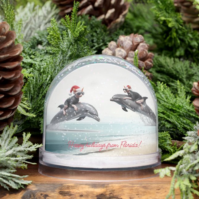 Navidades Sphynx Riding Dolphin (Invierno)