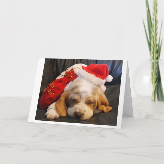 navidades tarjeta de perritos de Basset hound (Anverso)