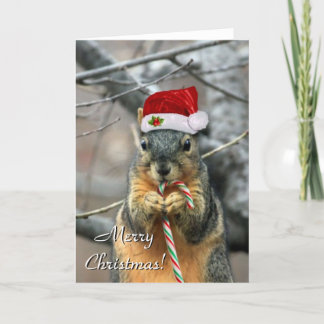 Navidades Tarjeta de saludo Squirrel