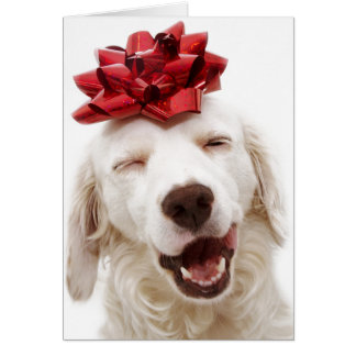NAVIDADES TARJETA RECUPERADOR BLANCO CON BOW ROJO