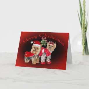 Navidades Yorkie y tarjetas Mistletoe