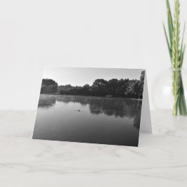 NC / Noir, tarjeta