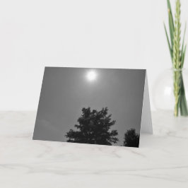 NC / Noir, tarjeta