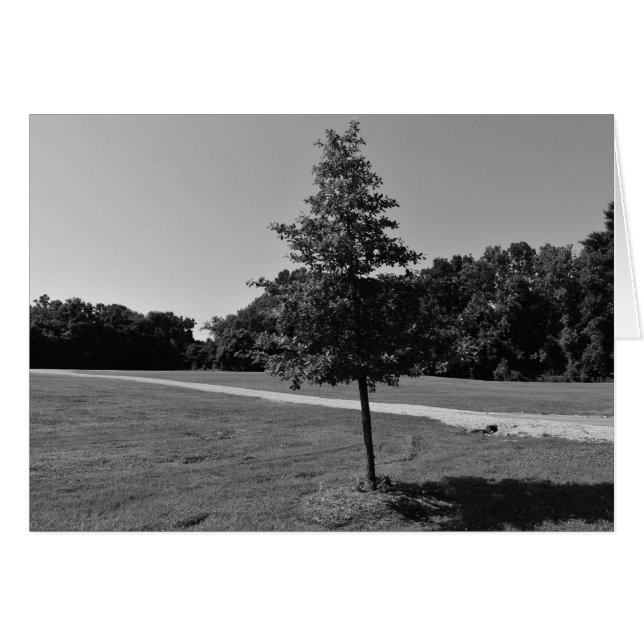 NC / Noir, tarjeta (Anverso (Horizontal))