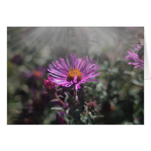 Nebraska ciudad octubre de 2015