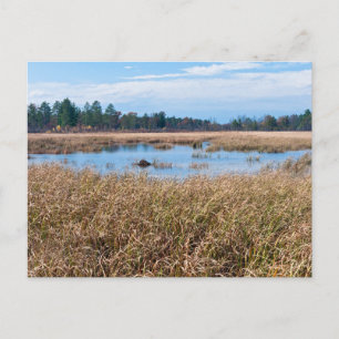 necedah sedge meadow humedales y postal forestal