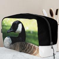 Foto de la fauna ganosa de Canadá