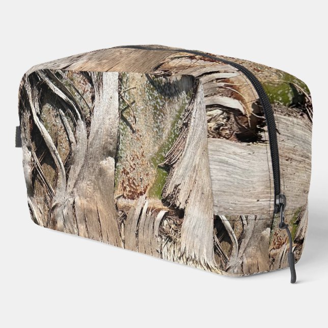 Neceser Imagen de foto de cierre de textura del tronco del (Esquina derecha)