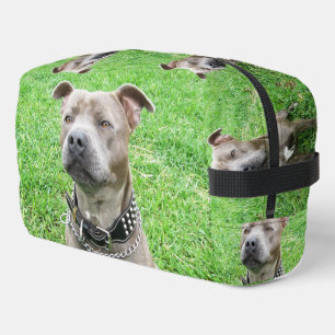 Neceser Sentado de Malé adulto Staffordshire Bull Terrier,