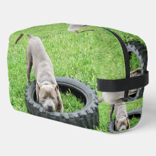 Neceser Staffordshire Bull Terrier,
