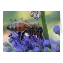 Néctar de consumición de la abeja