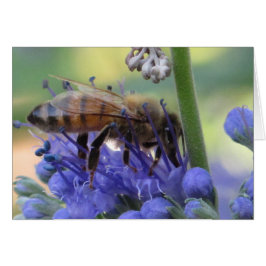 Néctar de consumición de la abeja