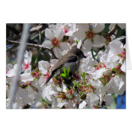 Néctar de sorbo de ave dorada