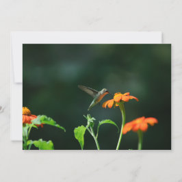 Néctar de sorbo - Tarjeta de saludo plana