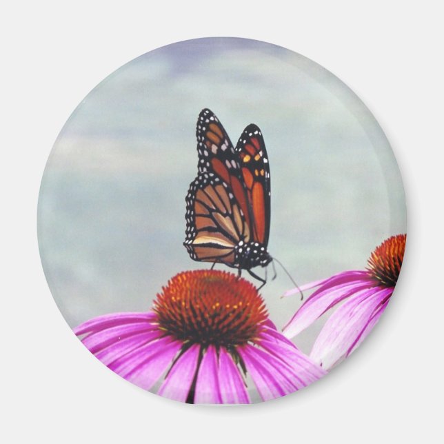 Néctar dulce - imán (Frente)