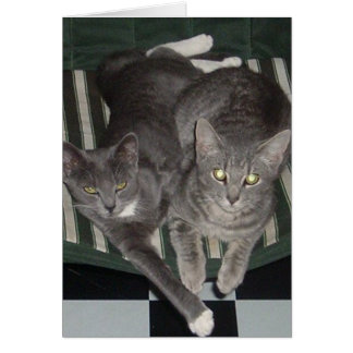 Negro, blanco y gris