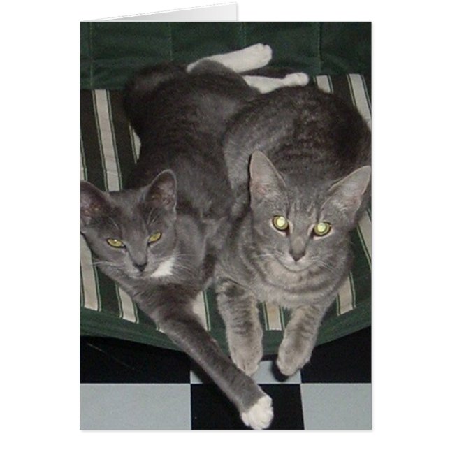 Negro, blanco y gris (Frente)