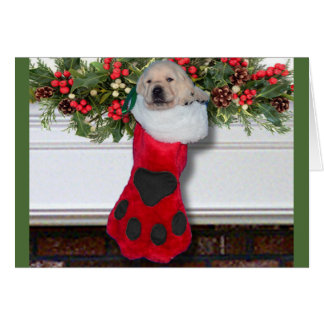 Negro de la semana 3 de la gratitud